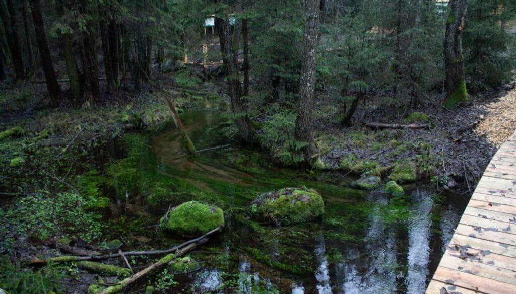 Экомаршруты Минской области: новые точки притяжения для туристов