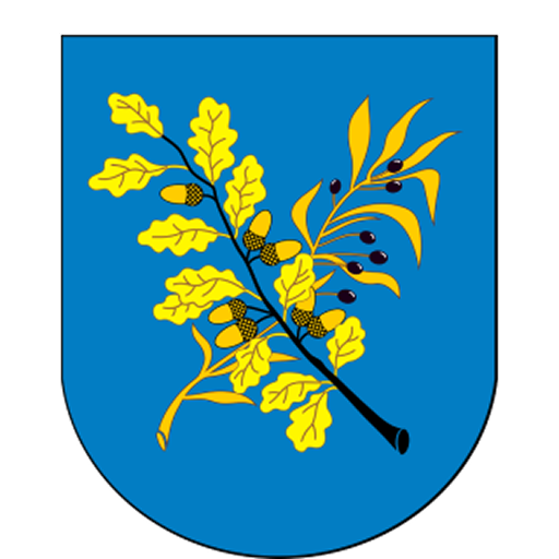 Дзержинский район
