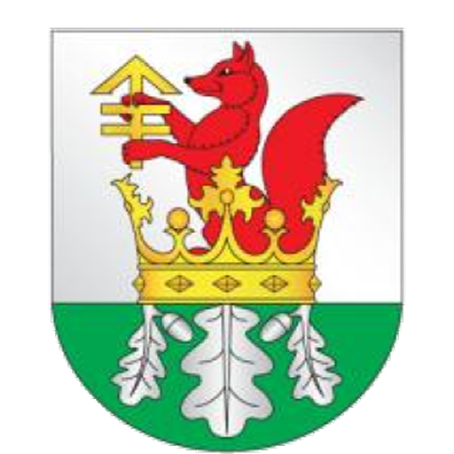 Березинский район