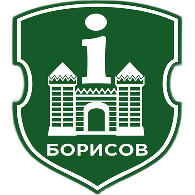 ТИЦ Борисовского района