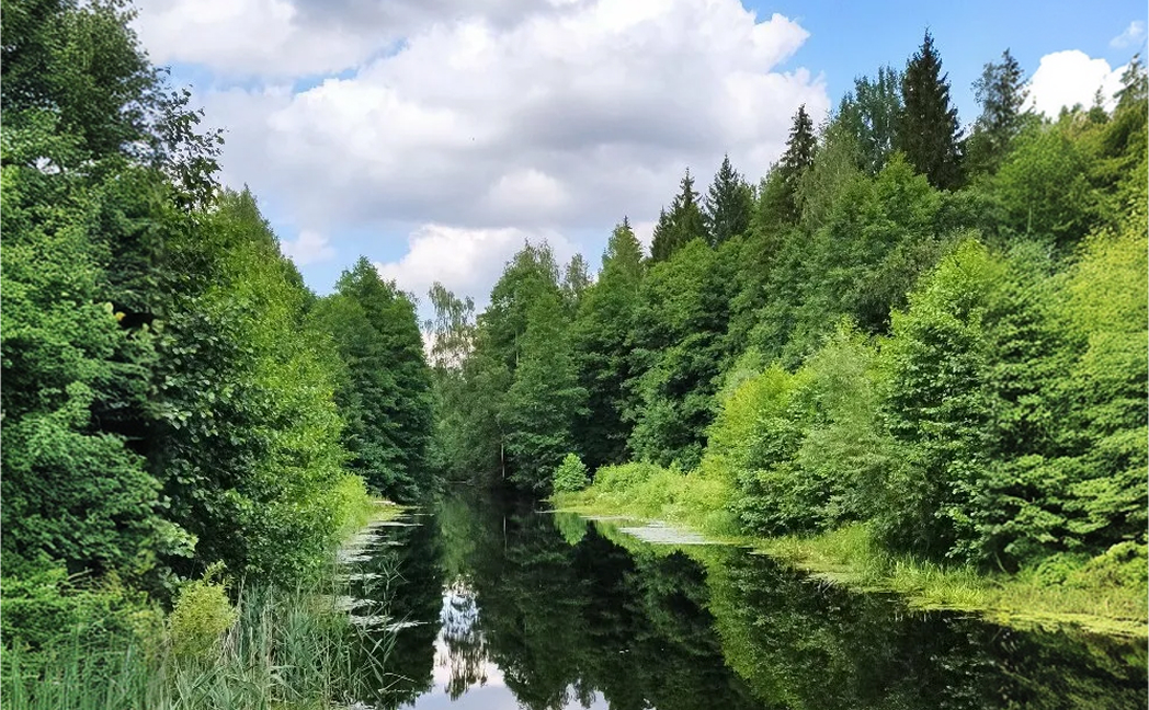 ТИЦ Березинского района