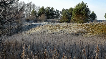 Дорогами штетлов