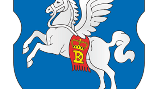 Слуцкий район
