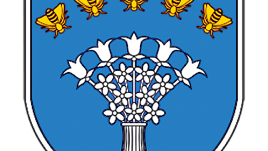 Червенский район